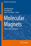 Molecular Magnets