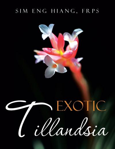 Exotic Tillandsia