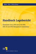 Handbuch Lagebericht