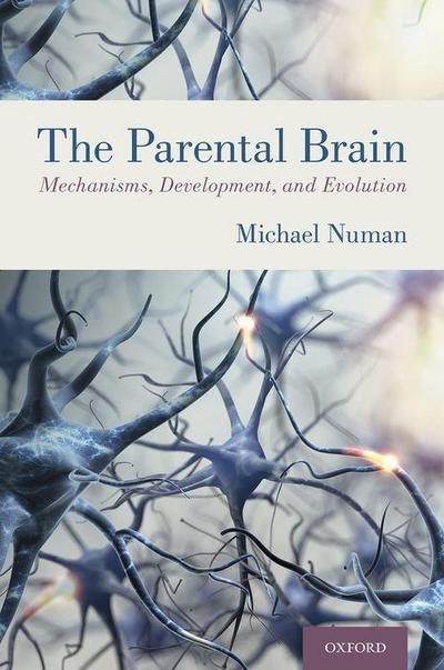 Parental Brain