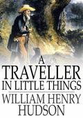 Traveller in Little Things