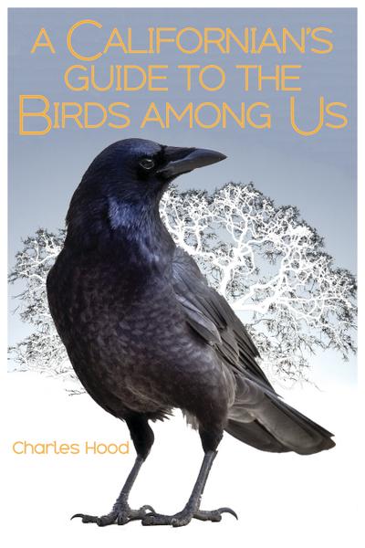 A Californian’s Guide to the Birds Among Us