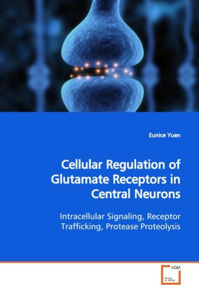 Cellular Regulation of Glutamate Receptors in  Central Neurons