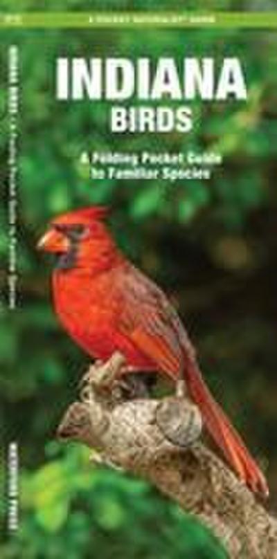 Indiana Birds