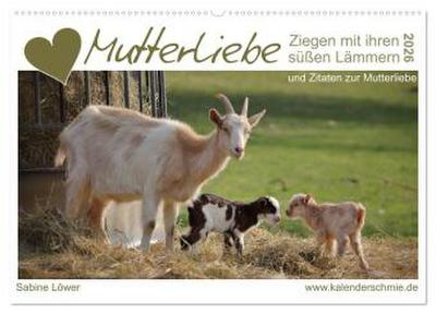 Mutterliebe - Ziegen mit ihren süßen Lämmern (Wandkalender 2026 DIN A2 quer), CALVENDO Monatskalender