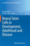 Neural Stem Cells in Development, Adulthood and Di
