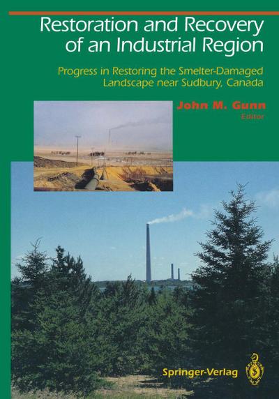 Restoration and Recovery of an Industrial Region
