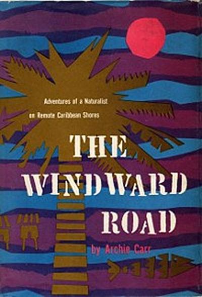 Windward Road