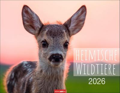Heimische Wildtiere Kalender 2026