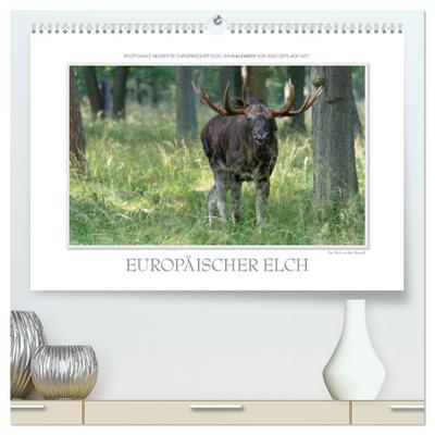 Emotionale Momente: Europäischer Elch. (hochwertiger Premium Wandkalender 2024 DIN A2 quer), Kunstdruck in Hochglanz