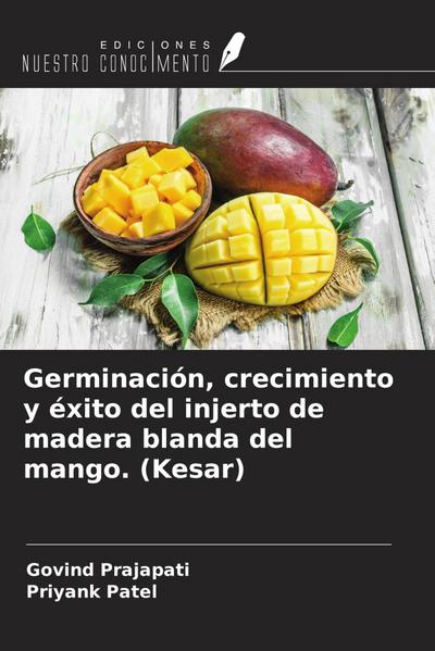 Germinación, crecimiento y éxito del injerto de madera blanda del mango. (Kesar)