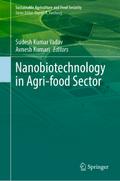 Nanobiotechnology in Agri-food Sector