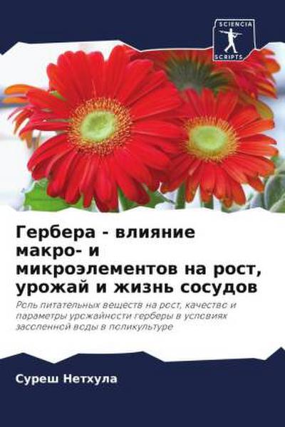 Gerbera - wliqnie makro- i mikroälementow na rost, urozhaj i zhizn’ sosudow