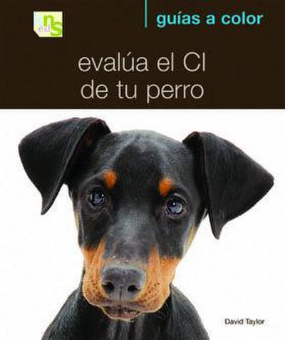 Evalúa el CI de tu perro : ¿cómo es de listo tu perro?