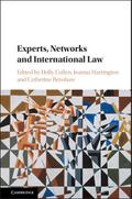 Experts, Networks and International Law
