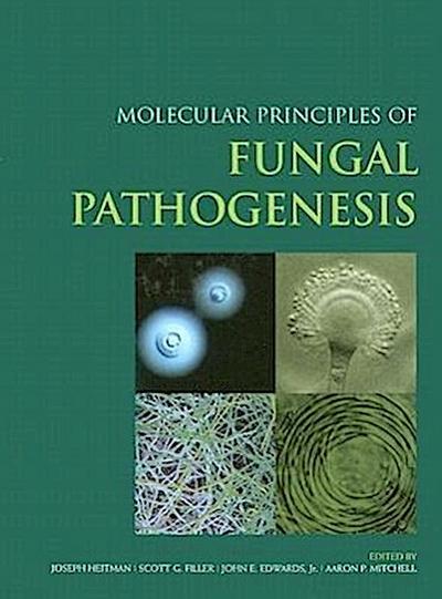 Molecular Principles of Fungal Pathogenesis