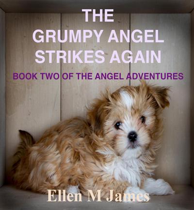 The Grumpy Angel Strikes Again (The Tilly and George Adventures, #2)