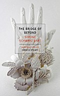 The Bridge of Beyond