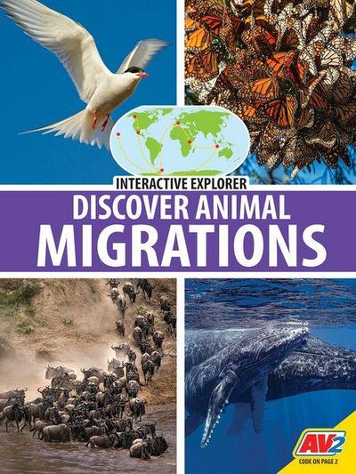 Discover Animal Migrations