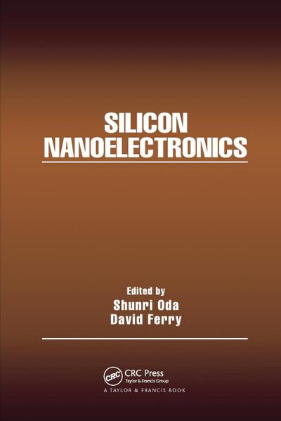 Silicon Nanoelectronics
