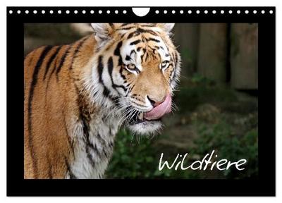 Wildtiere (Wandkalender 2027 DIN A4 quer), CALVENDO Monatskalender