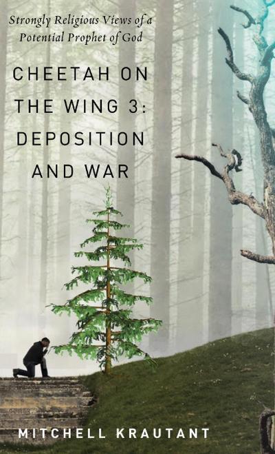 Cheetah On The Wing 3