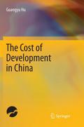 The Cost of Development in China