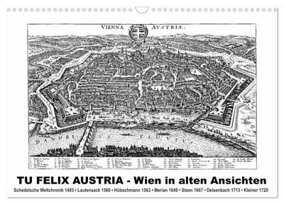 TU FELIX AUSTRIA - Wien in alten Ansichten (Wandkalender 2026 DIN A3 quer), CALVENDO Monatskalender