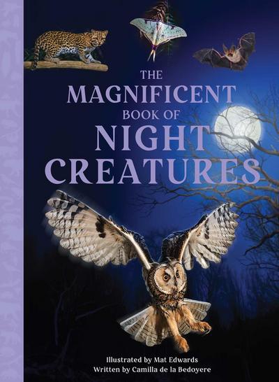 The Magnificent Book of Night Creatures