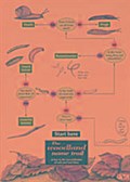 Freshwater Investigations