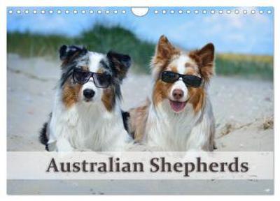 Wunderbare Australian Shepherds (Wandkalender 2026 DIN A4 quer), CALVENDO Monatskalender