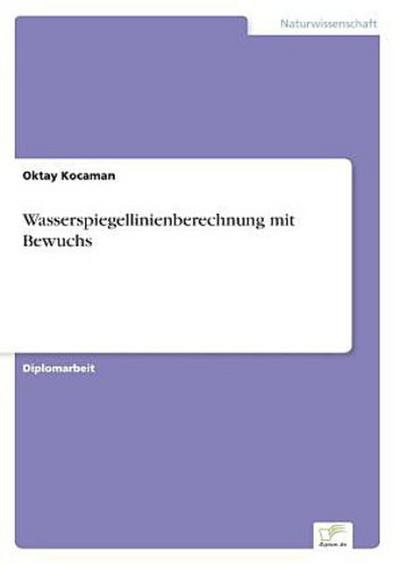 Wasserspiegellinienberechnung mit Bewuchs