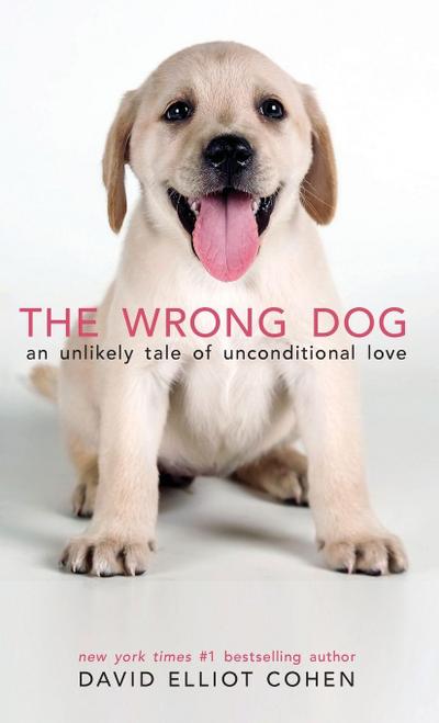The Wrong Dog