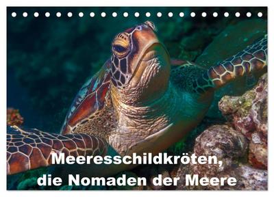 Meeresschildkröten, die Nomaden der Meere (Tischkalender 2026 DIN A5 quer), CALVENDO Monatskalender
