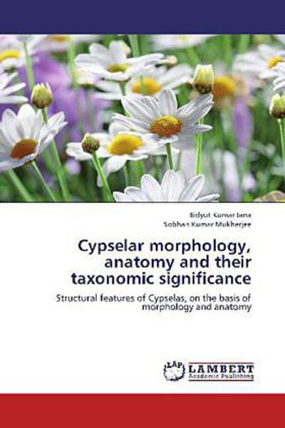 Cypselar morphology, anatomy and their taxonomic significance