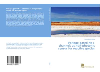 Voltage-gated Na+ channels as non-photonic sensor for reactive species