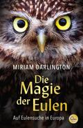 Die Magie der Eulen