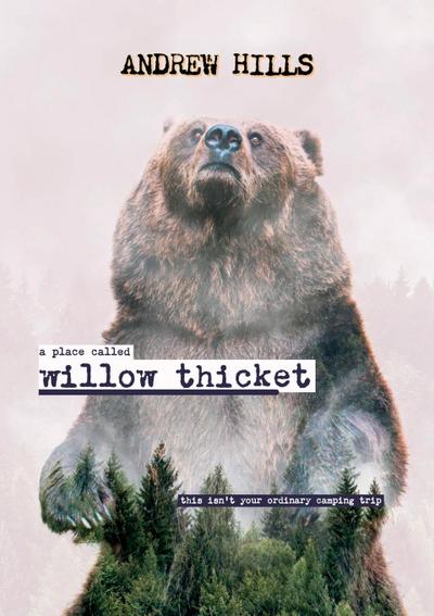 A Place Called Willow Thicket - Soft Cover