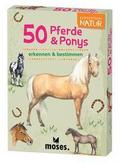 50 Pferde & Ponys entdecken & bestimmen
