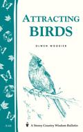 Attracting Birds