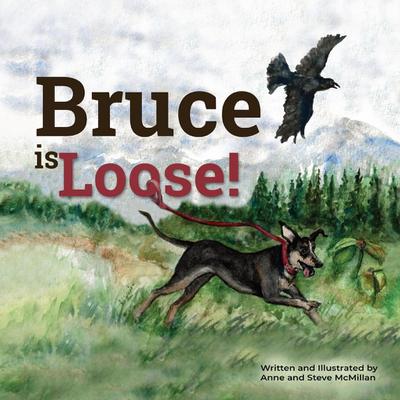 Bruce is Loose!