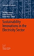 Sustainability Innovations in the Electricity Sector
