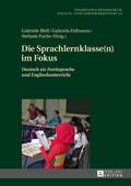 Die Sprachlernklasse(n) im Fokus