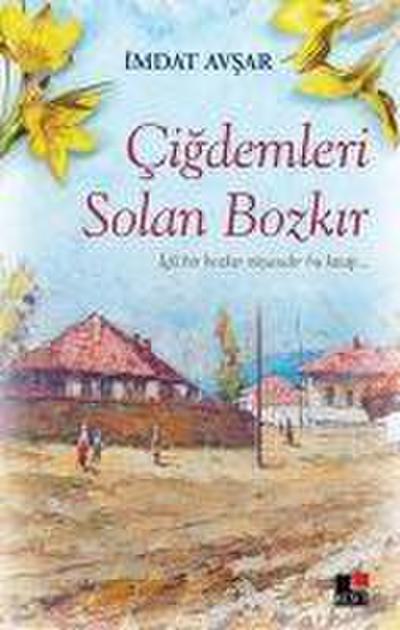 Cigdemleri Solan Bozkir