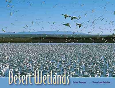 Desert Wetlands