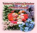 Vancouver’s Endearing Splendour of Flowers Collection