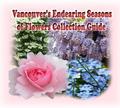 Vancouver’s Endearing Seasons of Flowers Collection Guide