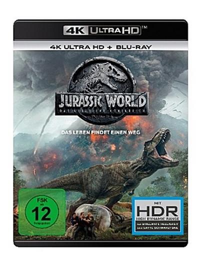 Jurassic World #2 (UHD+BR) 4K  2Disc Das gefallene Königreich