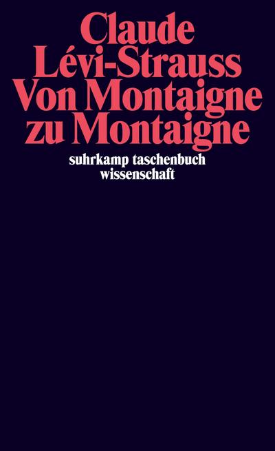 Von Montaigne zu Montaigne (suhrkamp taschenbuch wissenschaft)