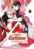 Die falsche Kurtisane - Heilerin am Kaiserhof 01